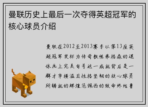 曼联历史上最后一次夺得英超冠军的核心球员介绍